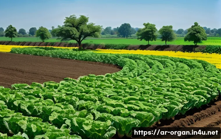 الزراعة العضوية: الشهادات التي لا يخبرك بها أحد لزيادة أرباحك 3 유기농업 분야 자격증 종류 관련 이미지 1